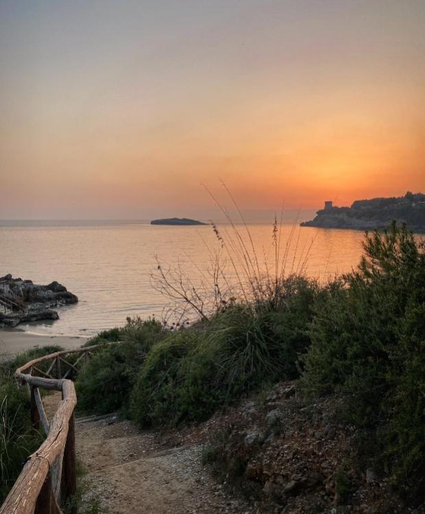 Tramonto sul mare con sentiero e vegetazione costiera, atmosfera serena e rilassante.